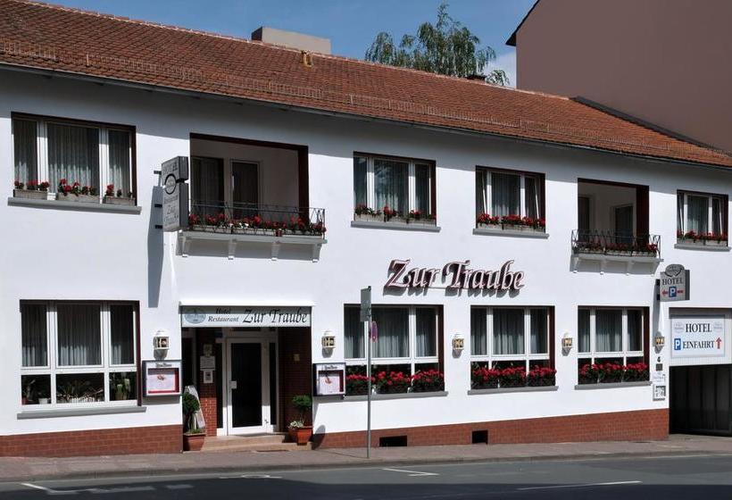 Hotel Zur Traube 2