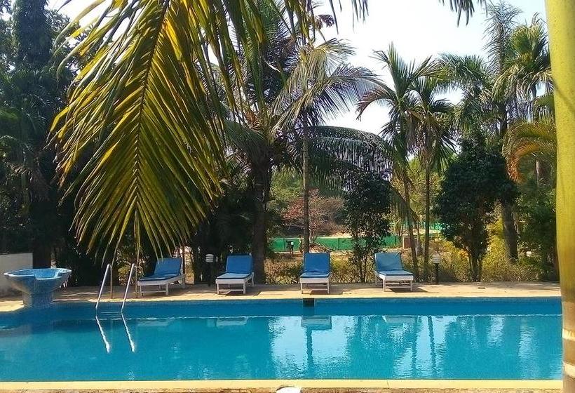 Bed and Breakfast Villa By The Sea Goa 5