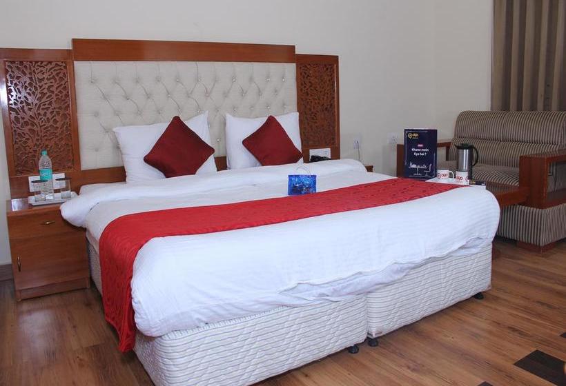 Hotel Oyo Premium Mountain Vew Mashobra 19