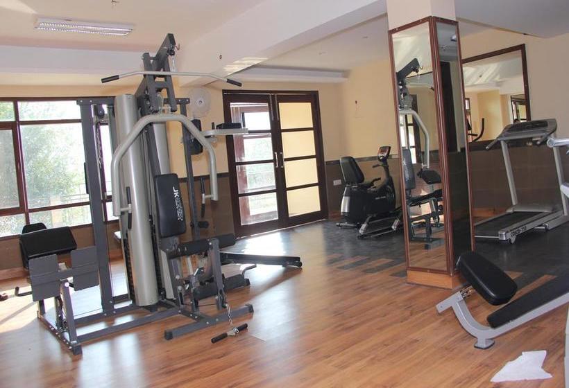 Hotel Oyo Premium Mountain Vew Mashobra 7