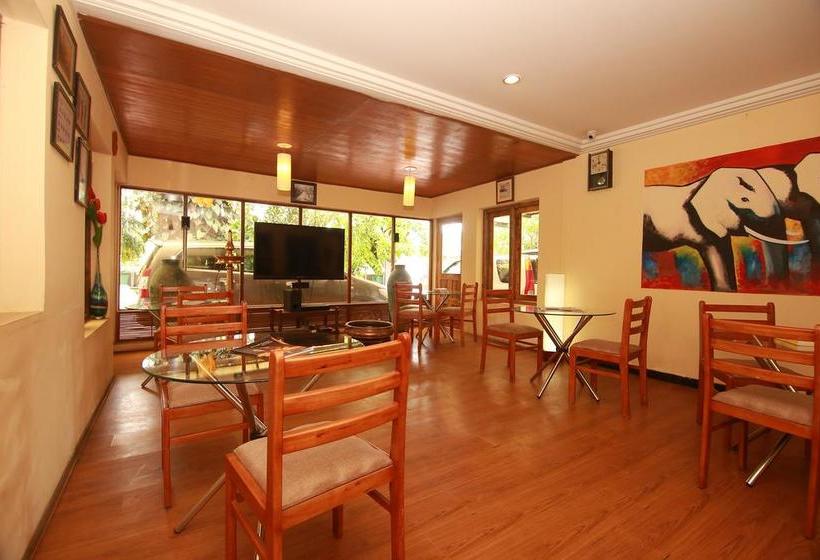 Hotel Oyo Premium Am Road Near Tata Tea Ground 2