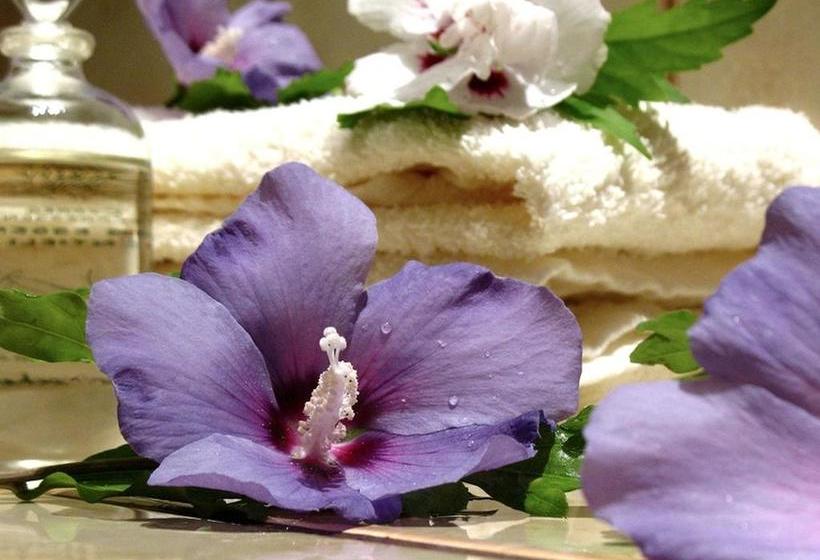 Apart Hotel Freiburg 4