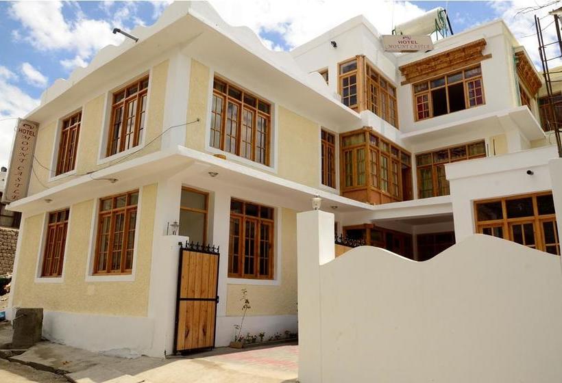 Hotel Mount Castle Leh