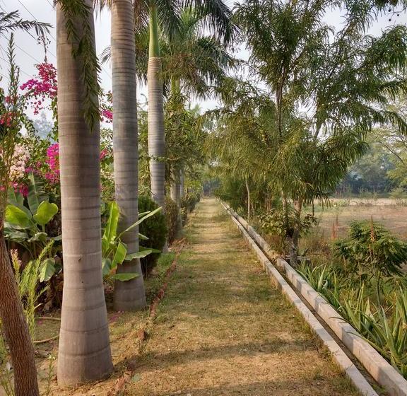 Hotel Jawahar Resort 9