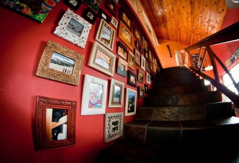 Hostel African Ubuntu Backpackers 1