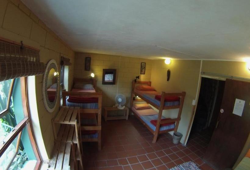 Hostel African Ubuntu Backpackers 16