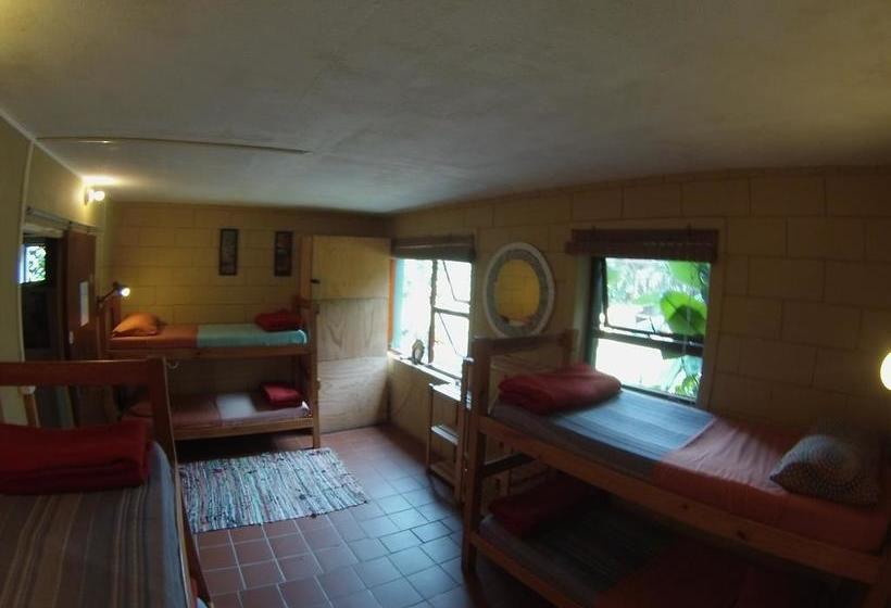 Hostel African Ubuntu Backpackers 17