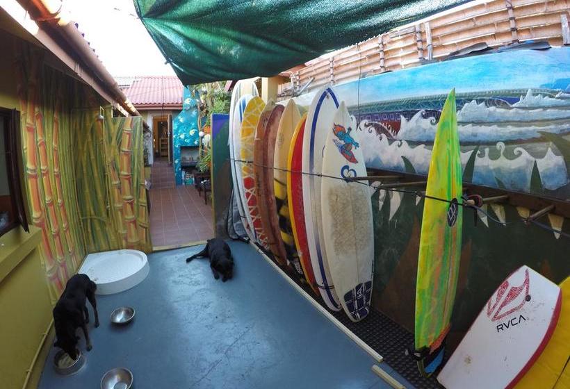 Hostel African Ubuntu Backpackers 18