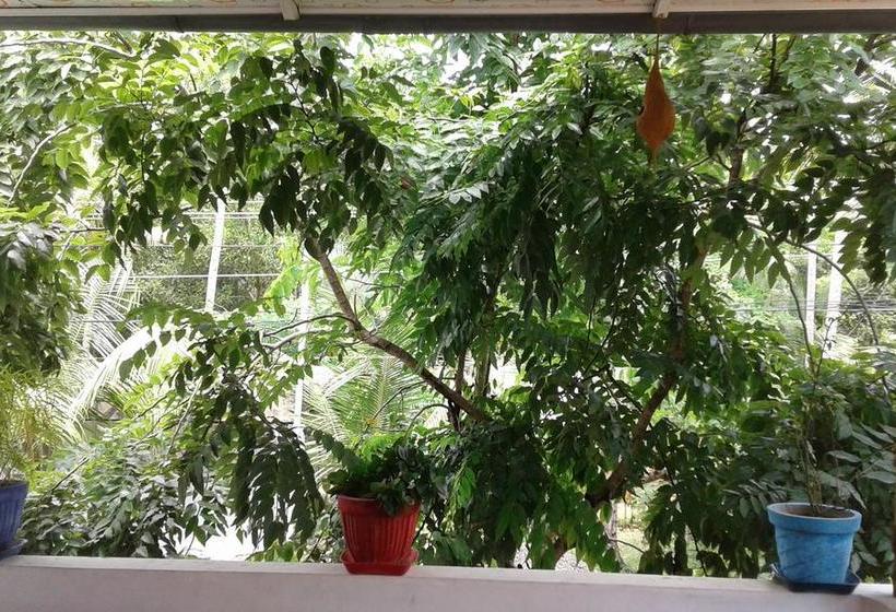 Bed and Breakfast Marari Febins Homestay 8