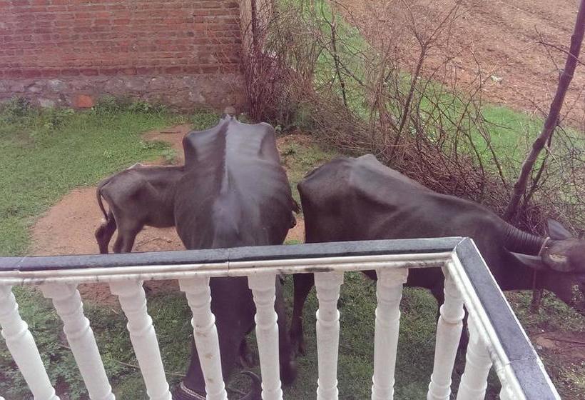 Bed and Breakfast Prem Home Stay 16