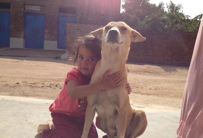 Bed and Breakfast Prem Home Stay 5