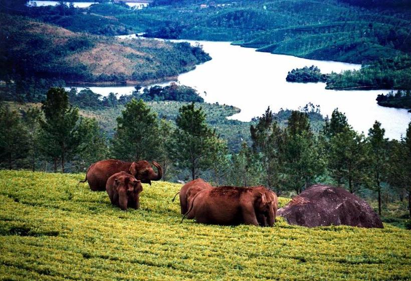 Hotel Anna Legacy Munnar 10