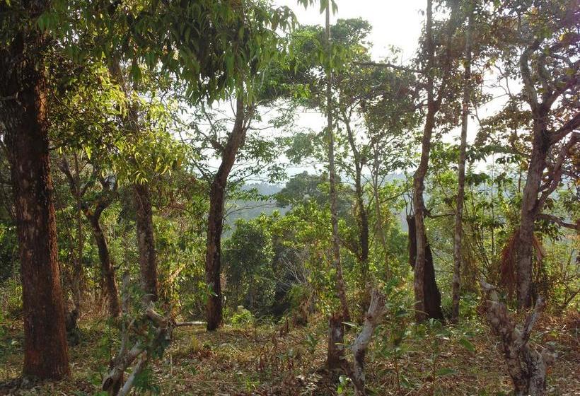 Hotel Anna Legacy Munnar 17