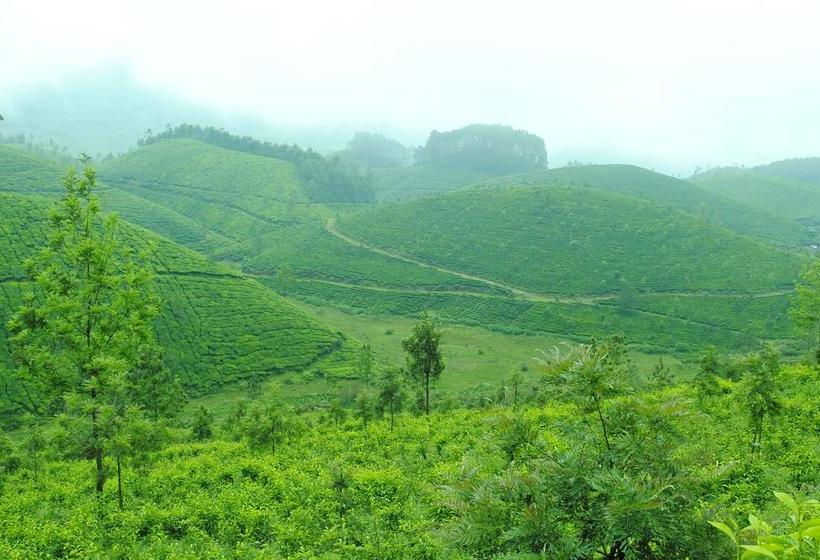 Hotel Anna Legacy Munnar 19