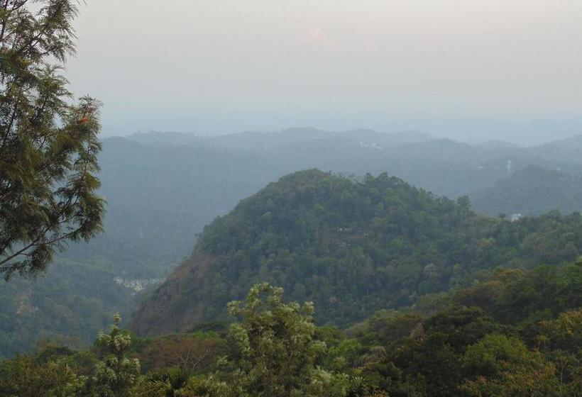 Hotel Anna Legacy Munnar 8