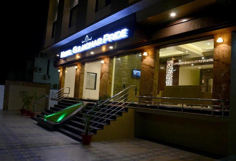 Hotel Gulmohar Pride 13