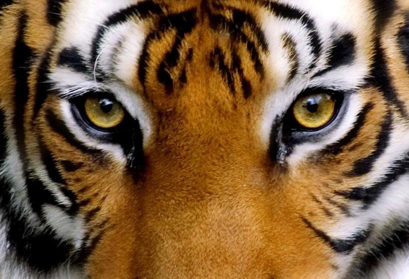 Hotel Jain Residency 14