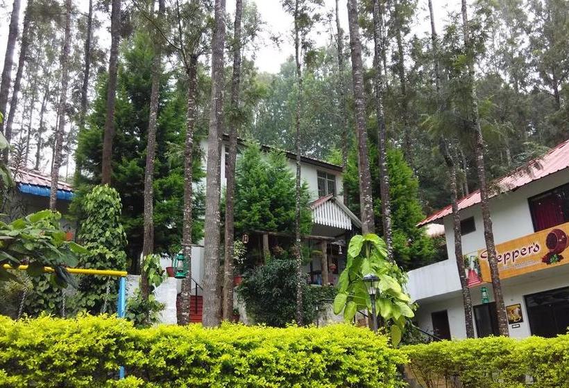 The Raintrees Resorts 12