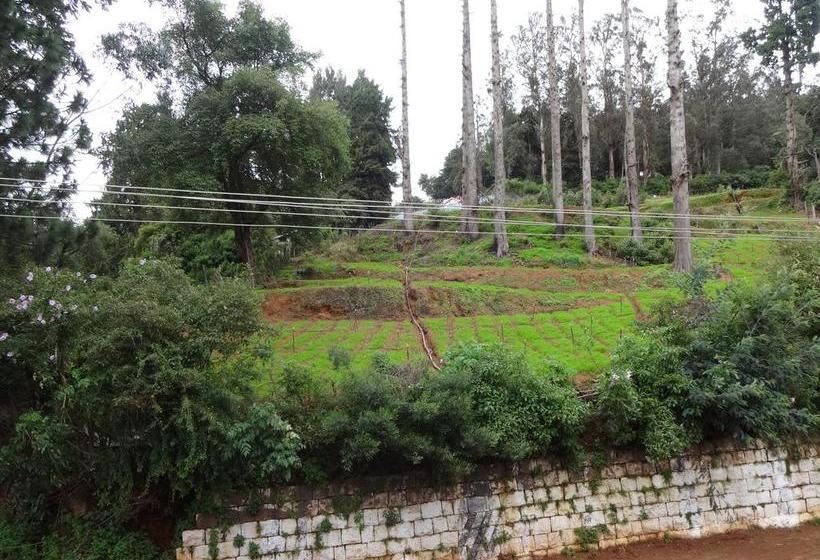 Hotel Weston Holiday Inn 2