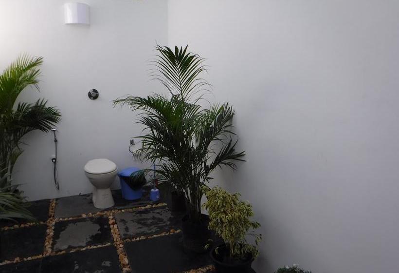 Resort Velvet Sunset Agonda 15