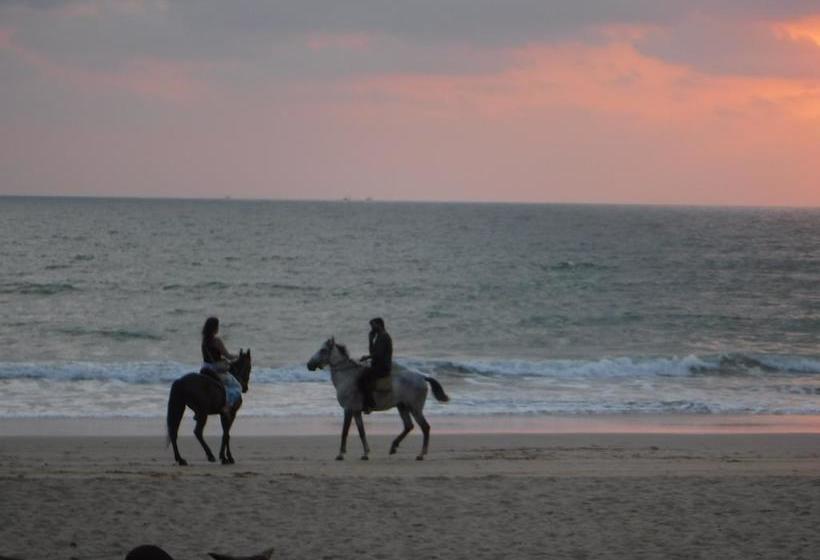 Resort Velvet Sunset Agonda 6