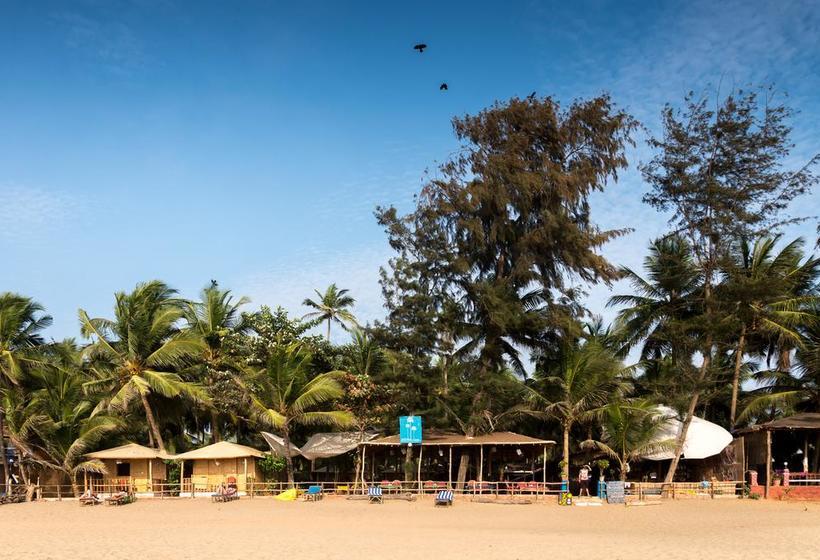 Resort Jardim A Mar 15