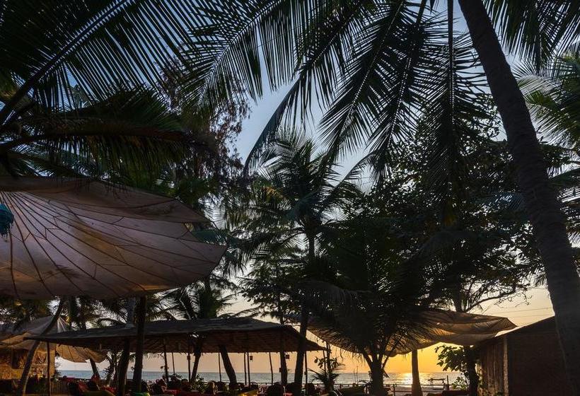 Resort Jardim A Mar 8