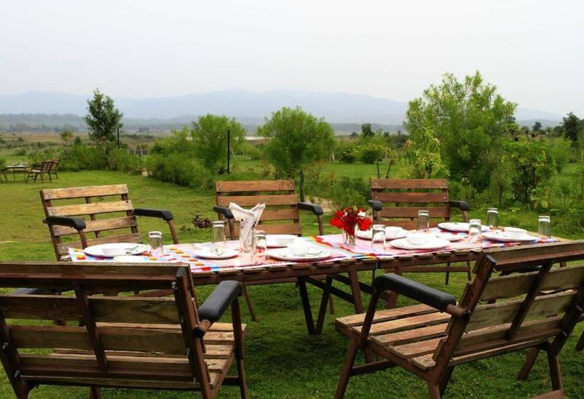 Resort Satpura Jungle Retreat 3