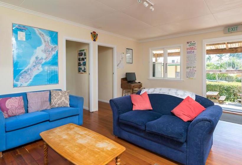 Hostel Pickled Parrot Backpackers 5