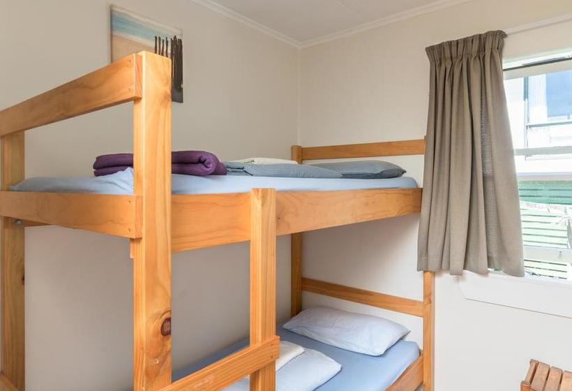 Hostel Pickled Parrot Backpackers 7