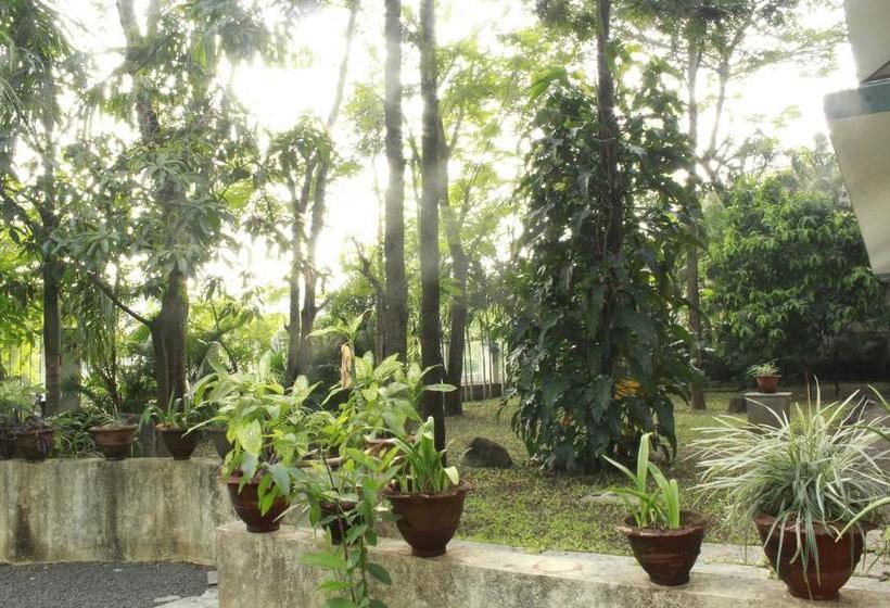 Hotel Rainwood Residency 20