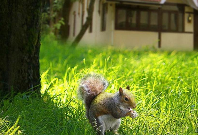 Resort Krisna All Suite Stay 11