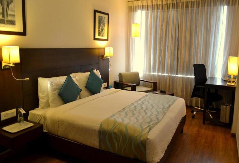 Hotel Oyo Premium Jetalpur Road Vadodara Maharashtra