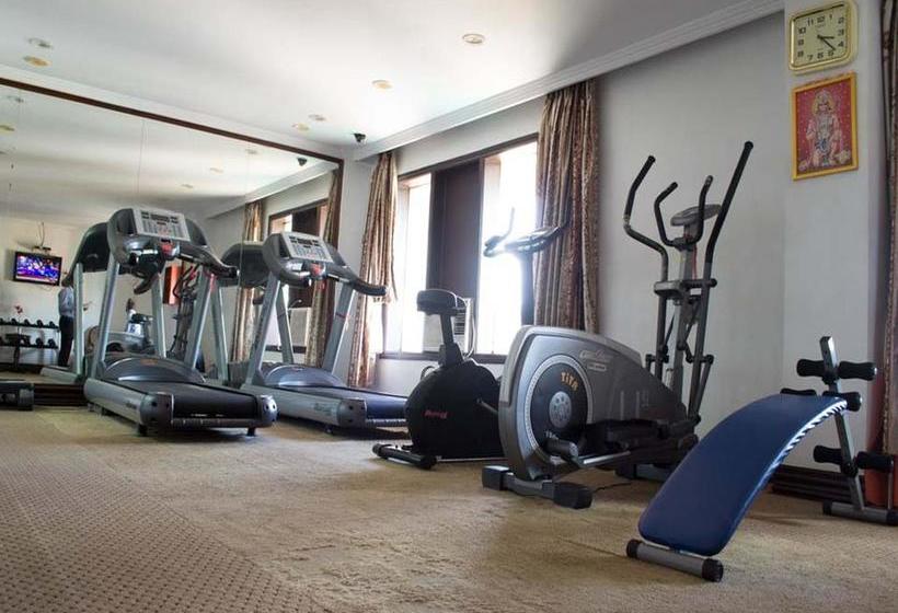 Hotel Oyo Premium Saheed Nagar 14