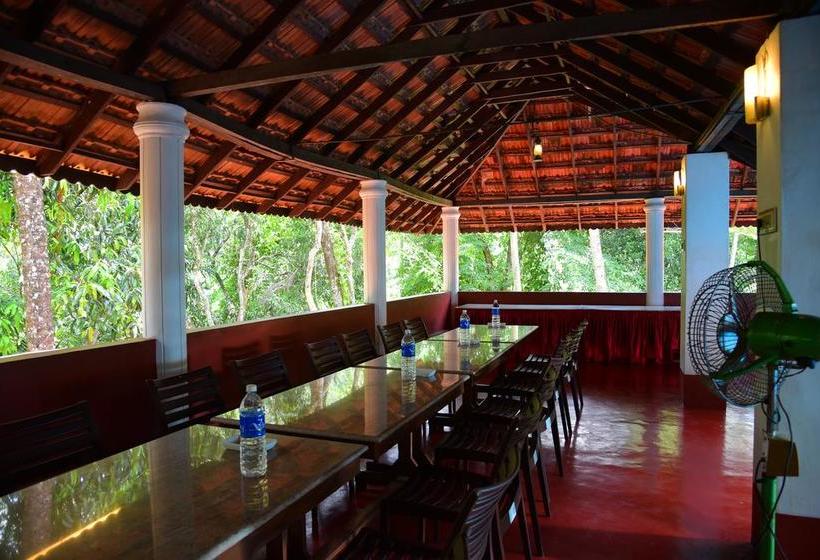 River County Resort Ponmudi 14