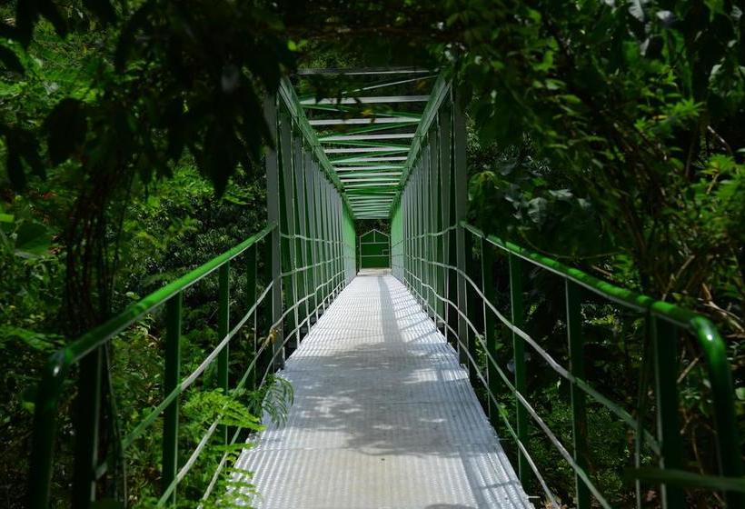 River County Resort Ponmudi 15