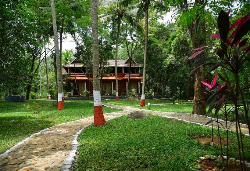 River County Resort Ponmudi 16