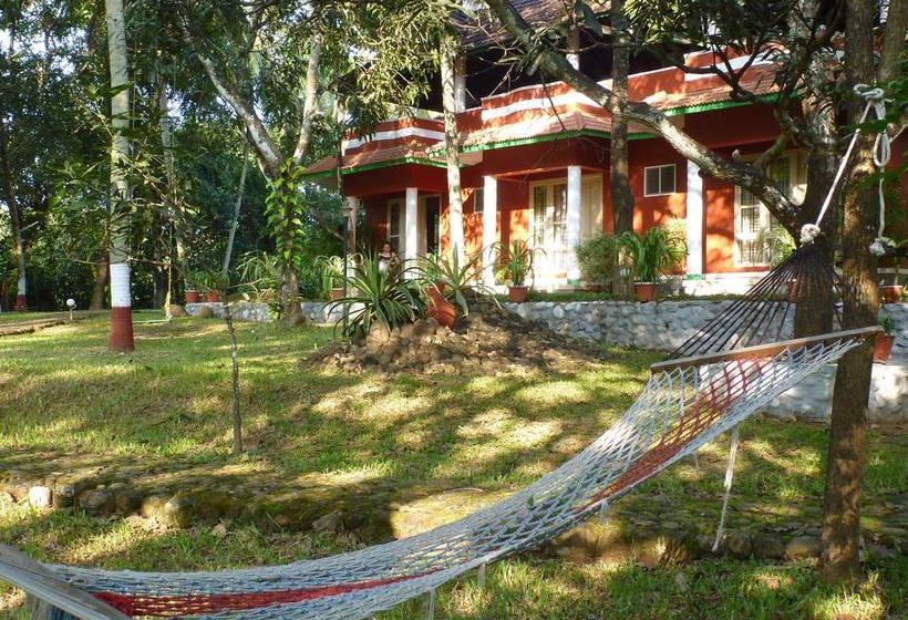 River County Resort Ponmudi 3