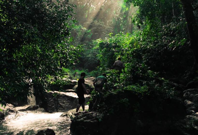 River County Resort Ponmudi 4