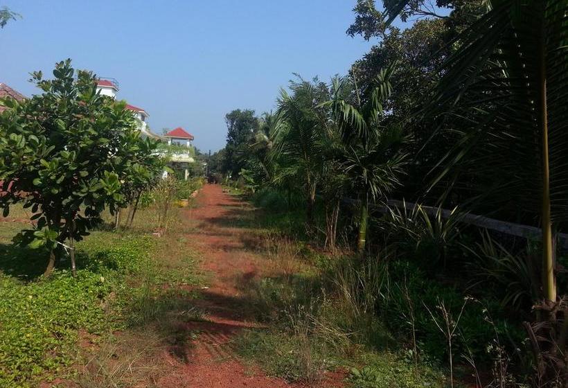 Resort Surve Farm House 7