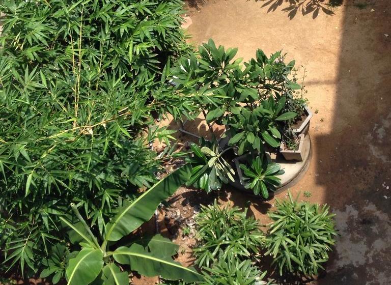 Hotel Blue Elephant 7