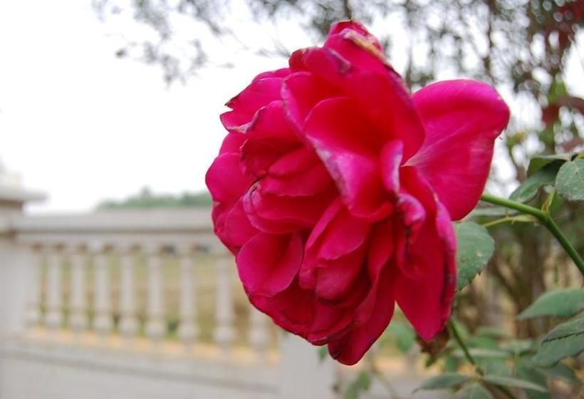 Bed and Breakfast Muktadhara Guest House 7