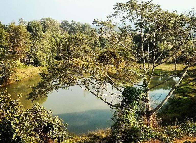 Hostel Coorg Adventure Club 8