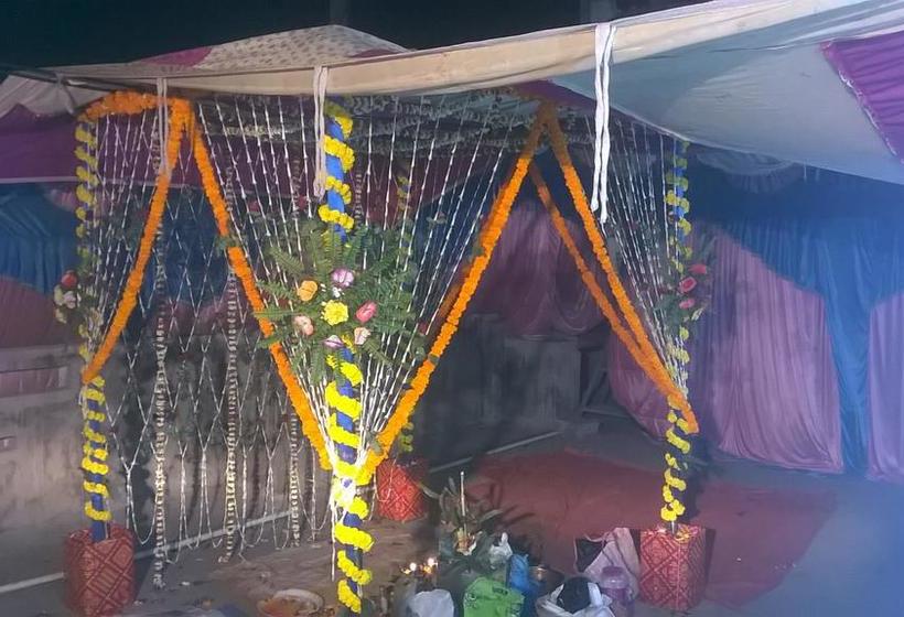 Bed and Breakfast Roxy Dx 19