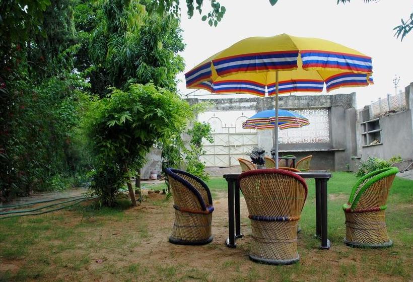 Pushkar Hotel Yuvraj 11