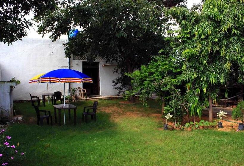 Pushkar Hotel Yuvraj 17