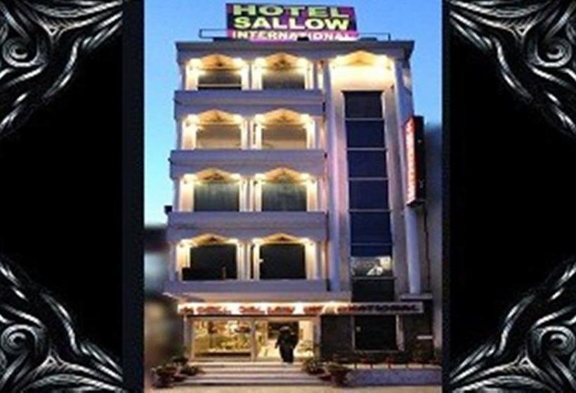Hotel Sallow International Amritsar Punjab