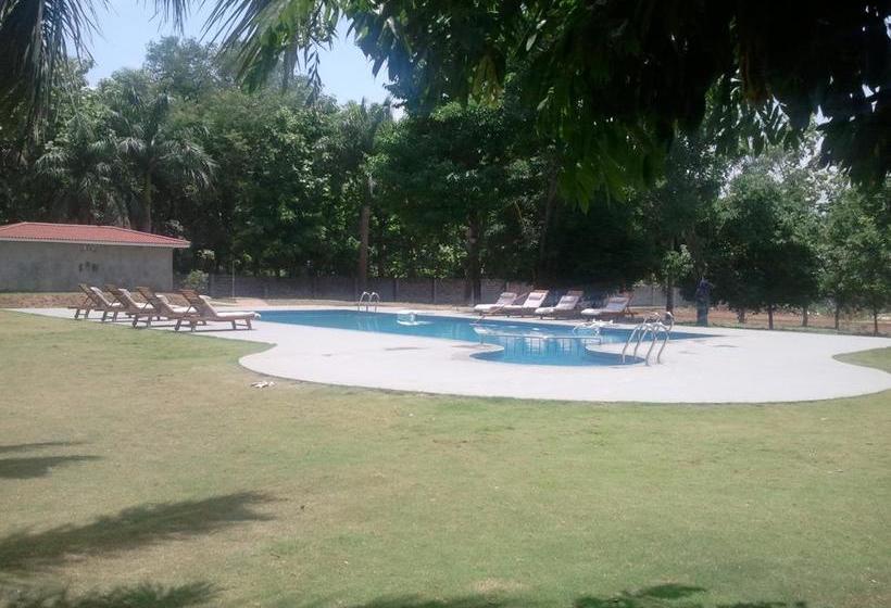 Hotel Kpm Tripenta 11