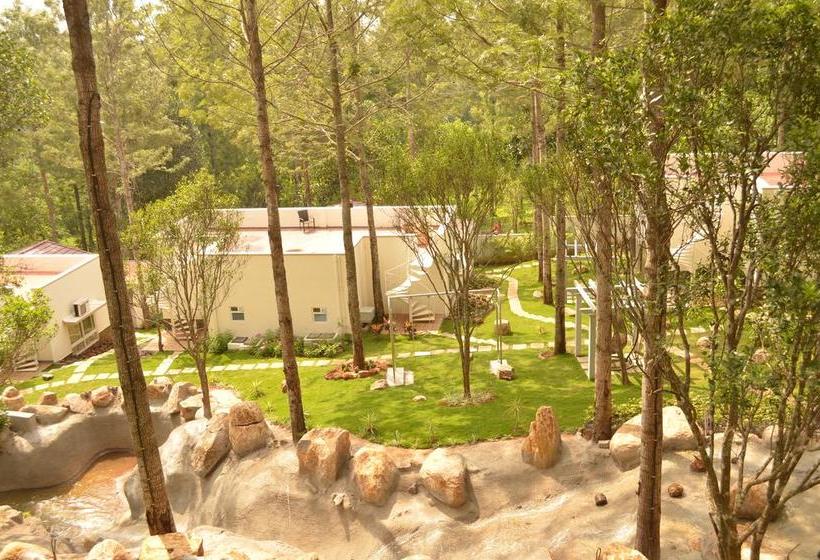 Resort La Four Seasons 18