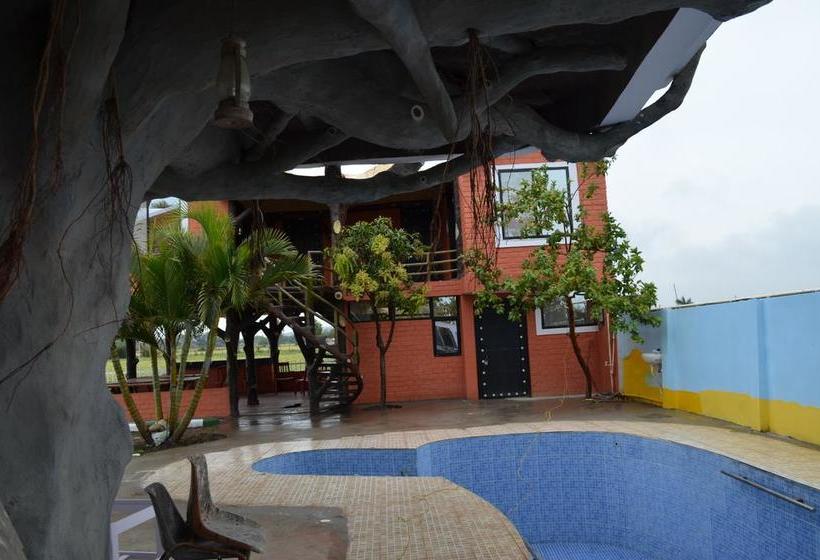 Bed and Breakfast Banyan Tree Farms 11